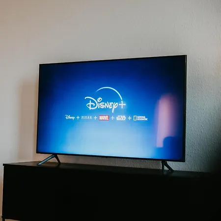 Daire 3-floor Oasis In The Heart Of Koblenz, Sleeps 16 Koblenz (Rhineland-Palatinate)